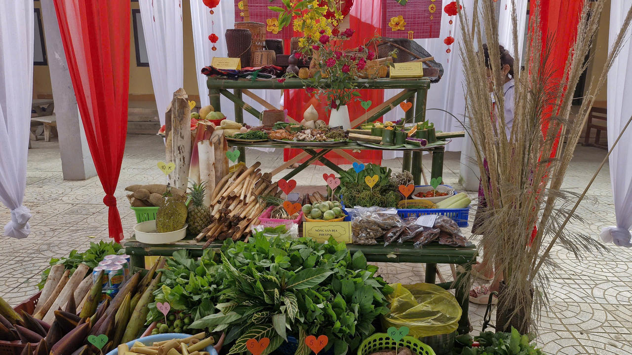 Giữa đại ngàn Kim Ngân (Quảng Trị): Từ việc nhỏ đến bài học lớn về những giá trị bền vững