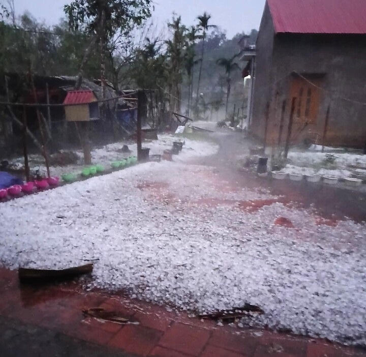 Mưa đ&aacute; trắng s&acirc;n tại x&atilde; Y&ecirc;n Trạch, Th&aacute;i Nguy&ecirc;n. (Ảnh: VOV)