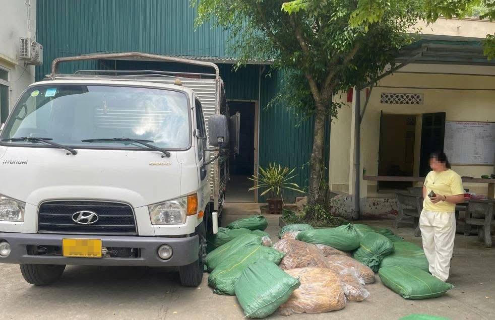 Đối tượng Trần Thị Ng&acirc;n c&ugrave;ng phương tiện vận chuyển l&aacute; thuốc l&aacute; kh&ocirc;ng r&otilde; nguồn gốc bị bắt giữ tại Đồn Bi&ecirc;n ph&ograve;ng Ngọc C&ocirc;n. (BPCB)