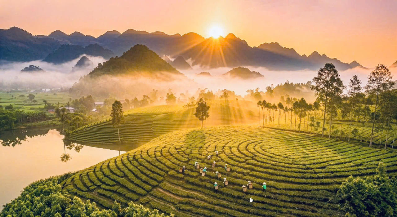 Giải đấu dự kiến diễn ra ng&agrave;y 24/5/2026, quy tụ khoảng 200 vận động vi&ecirc;n trong v&agrave; ngo&agrave;i nước tham gia tranh t&agrave;i.