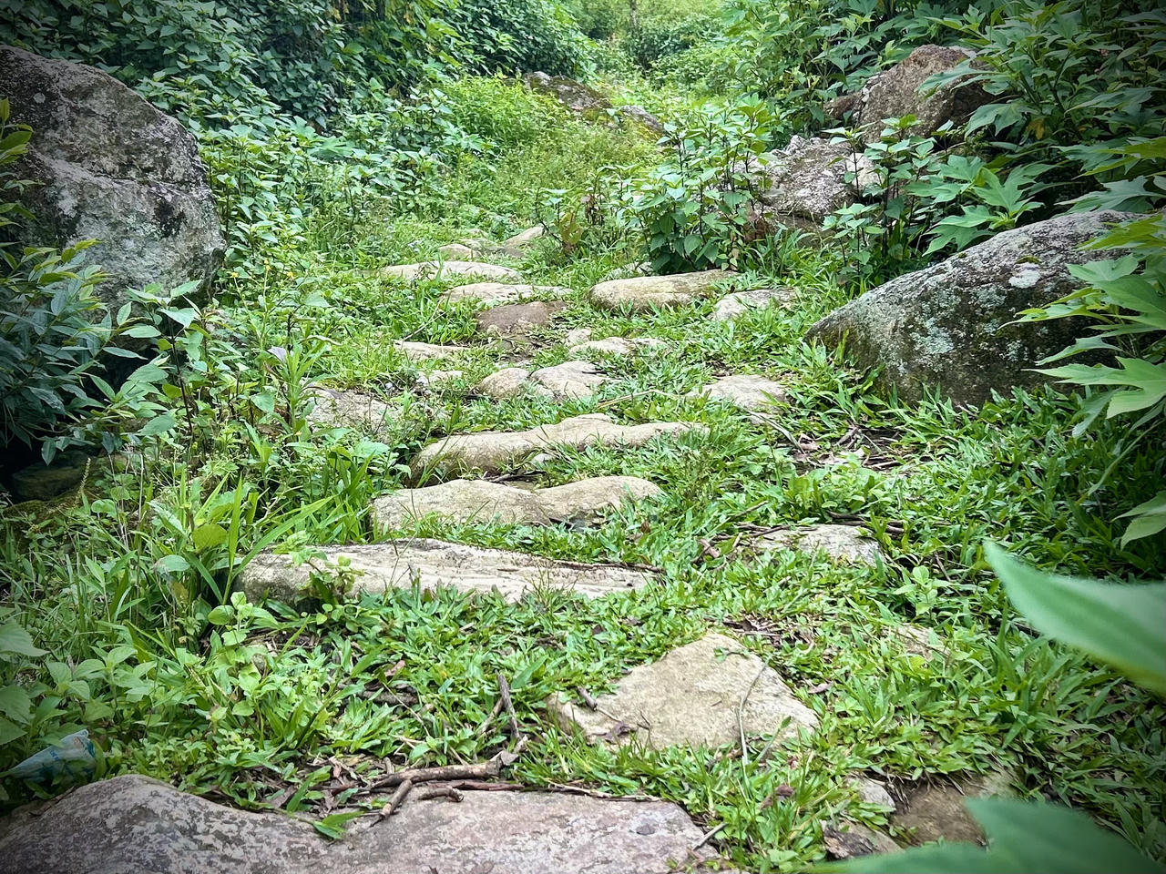 Đường đ&aacute; cổ Pa Vi được x&acirc;y dựng từ thời Ph&aacute;p.