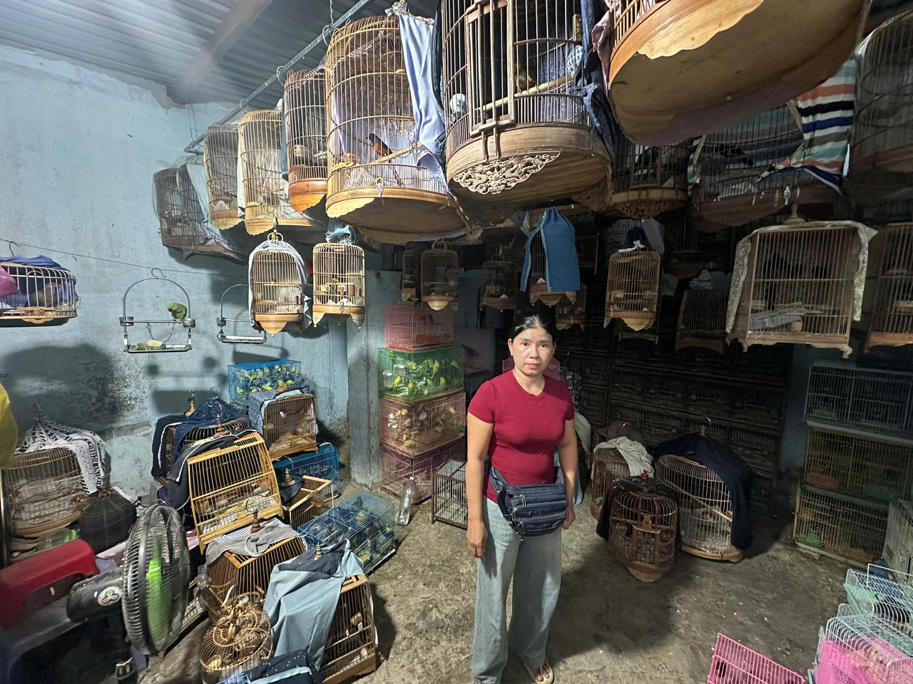 B&agrave; Trương Thị Thu H&agrave; bị bắt về tội 'Đưa hối lộ'.