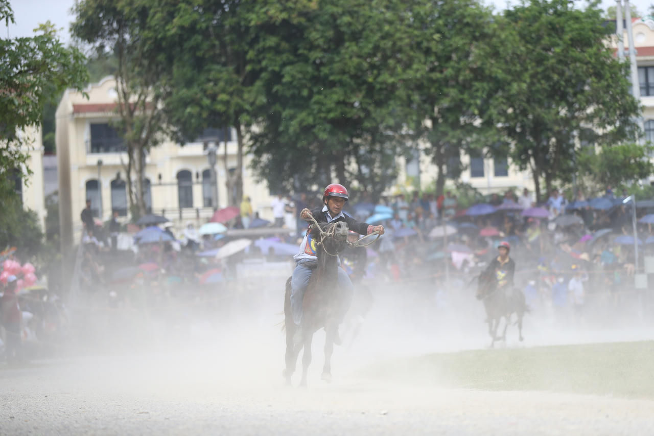 Khai mạc Festival cao nguy&ecirc;n trắng Bắc H&agrave; năm 2026