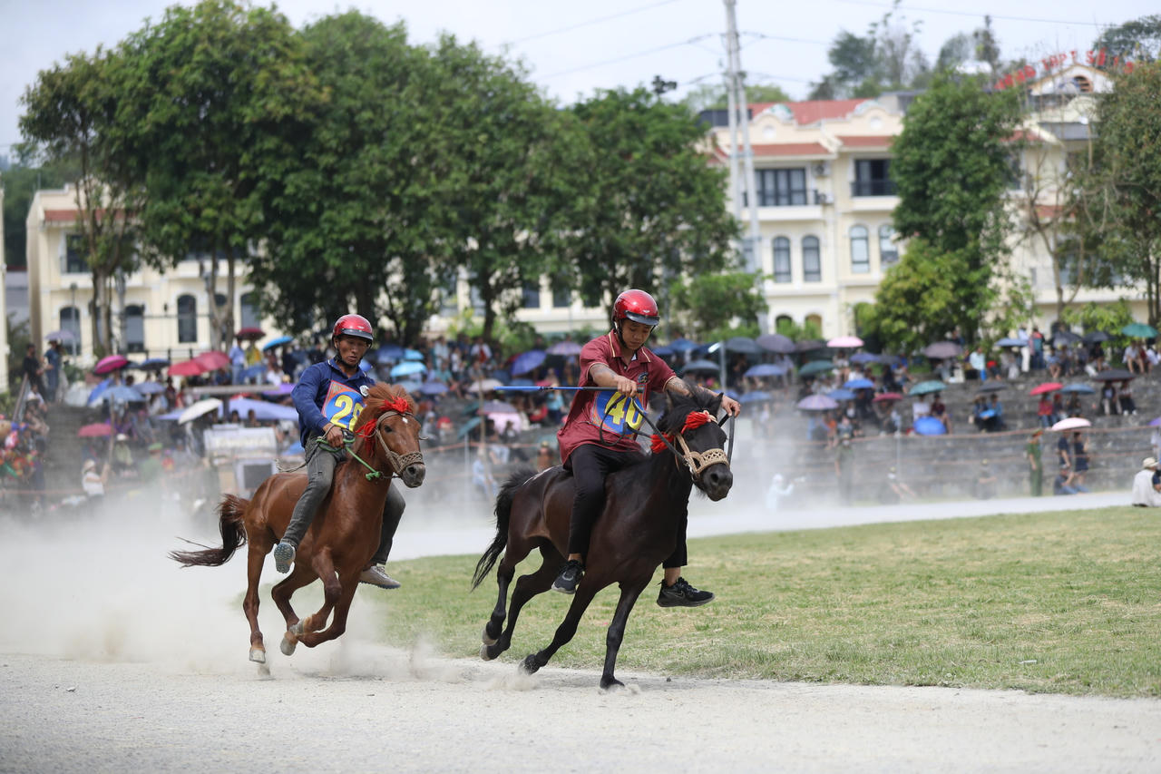 Khai mạc Festival cao nguy&ecirc;n trắng Bắc H&agrave; năm 2026