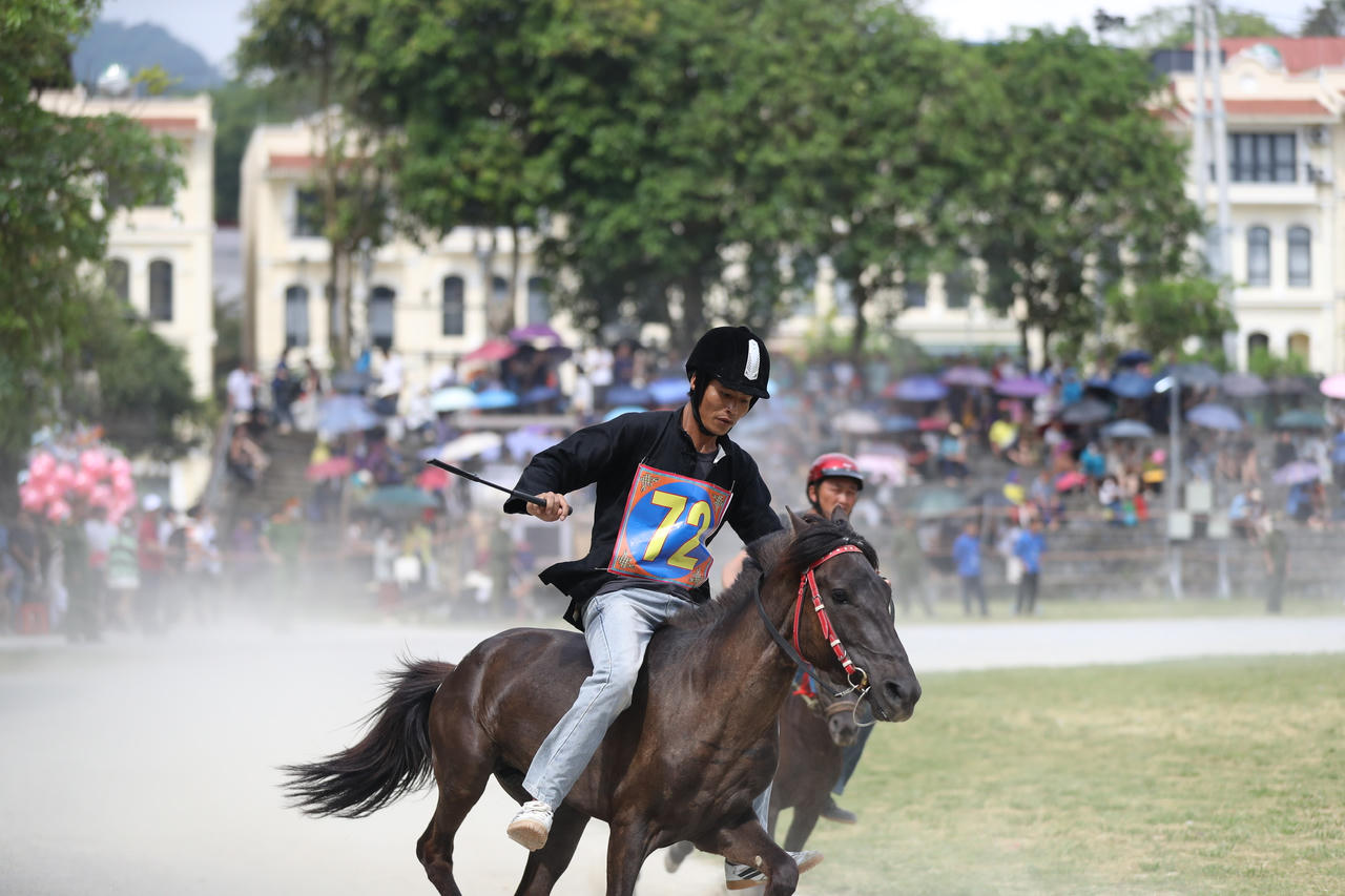 Khai mạc Festival cao nguy&ecirc;n trắng Bắc H&agrave; năm 2026