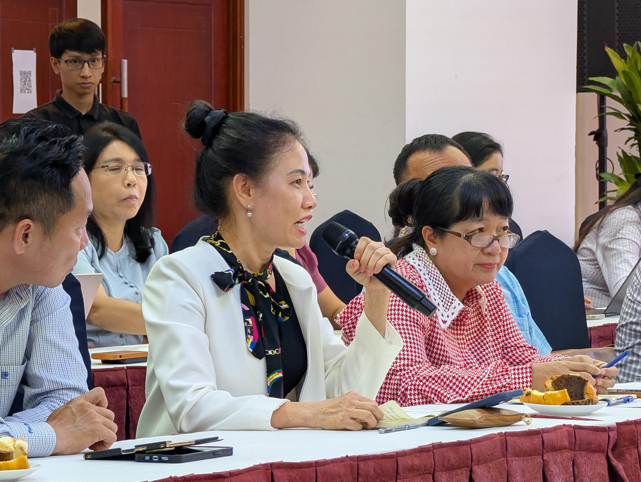 Luật sư Phan Thị B&igrave;nh Thuận ph&aacute;t biểu &yacute; kiến.