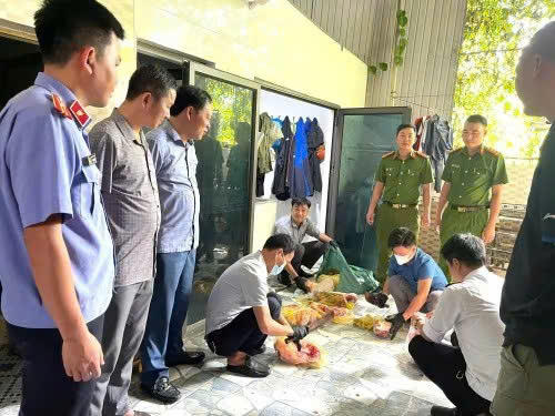 Kết quả x&eacute;t nghiệm x&aacute;c định to&agrave;n bộ số lợn v&agrave; sản phẩm từ lợn tại nh&agrave; ri&ecirc;ng Nguyễn Hữu Cường đều dương t&iacute;nh với virus Dịch tả lợn ch&acirc;u Phi. Ảnh CAHT