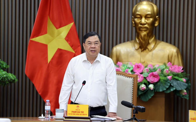 Ph&oacute; Thủ tướng Thường trực Phạm Gia T&uacute;c y&ecirc;u cầu bảo đảm nguồn cung, chất lượng v&agrave; quyền lợi người ti&ecirc;u d&ugrave;ng khi chuyển đổi sang xăng E10- Ảnh 4.