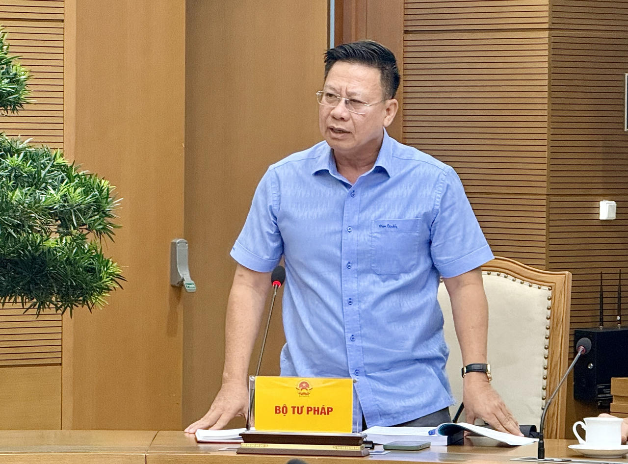 Thứ trưởng Bộ Tư ph&aacute;p Nguyễn Thanh Ngọc tại cuộc họp.