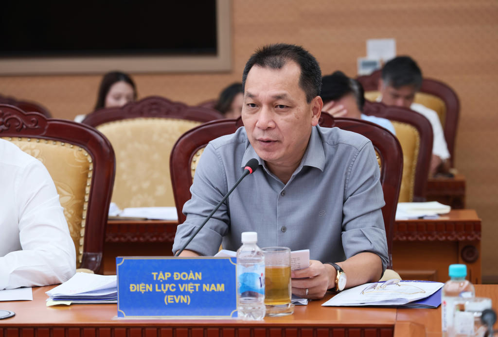 Chủ tịch EVN Đặng Ho&agrave;ng An ph&aacute;t biểu tại buổi l&agrave;m việc.