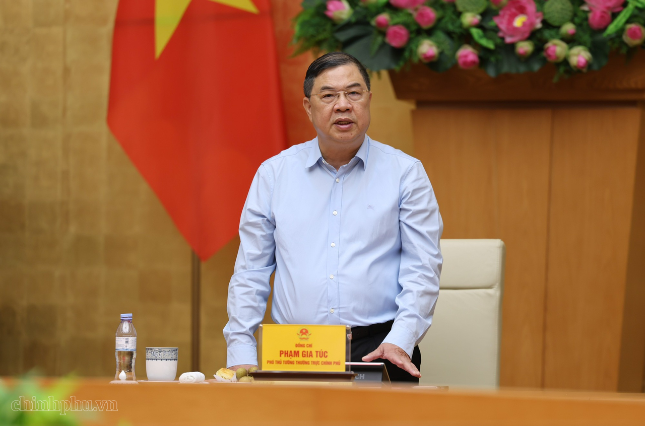 Ph&oacute; Thủ tướng Thường trực Phạm Gia T&uacute;c ph&aacute;t biểu kết luận cuộc l&agrave;m việc. Ảnh: VGP