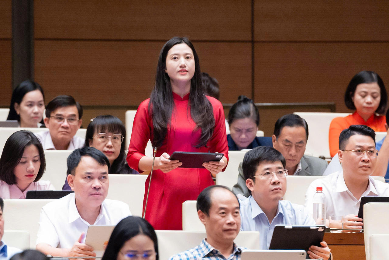 Đại biểu S&iacute; Thị Mai Anh n&ecirc;u &yacute; kiến thảo luận.