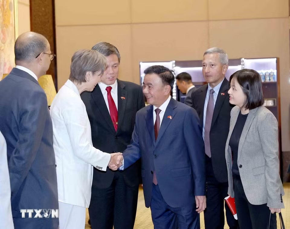 Lễ đ&oacute;n Ủy vi&ecirc;n Bộ Ch&iacute;nh trị, Thường trực Ban B&iacute; thư Trần Cẩm T&uacute; thăm ch&iacute;nh thức Singapore - Ảnh 3.