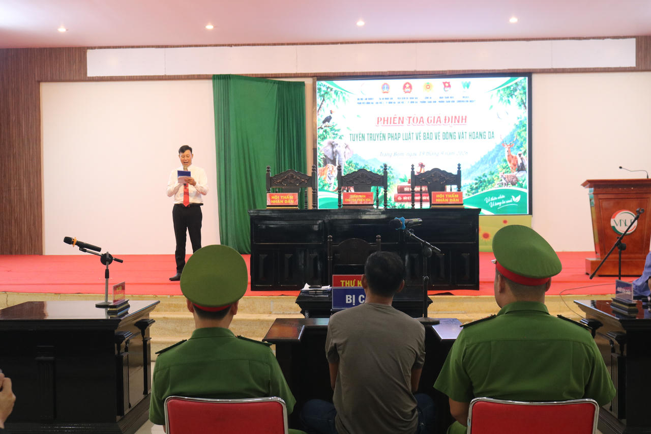 To&agrave;n cảnh phi&ecirc;n to&agrave; giả định. Ảnh: Tiến Dũng.