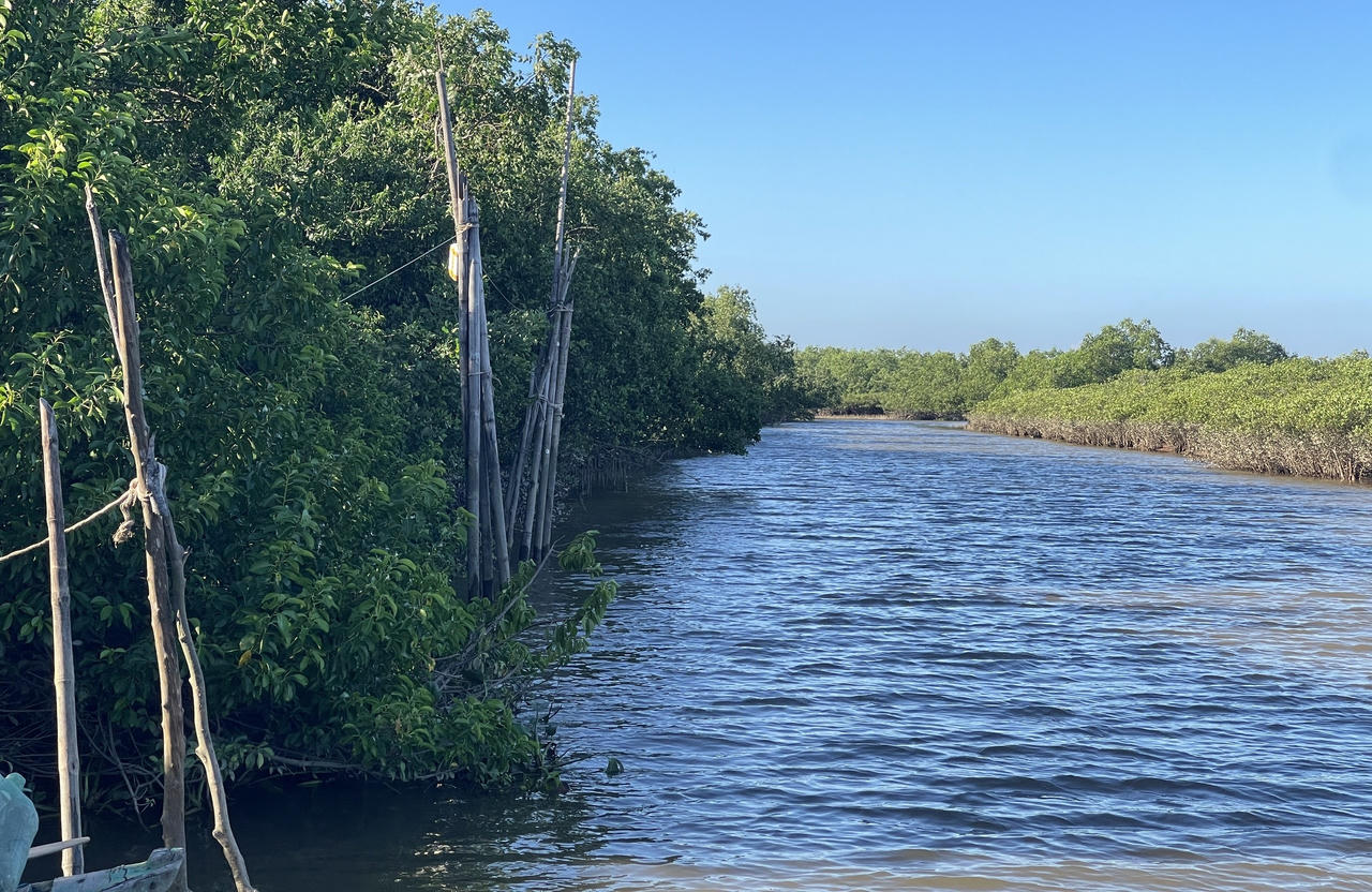 Vườn quốc gia Xuân Thủy – Thiên nhiên kỳ thú nơi cửa biển Ninh Bình
