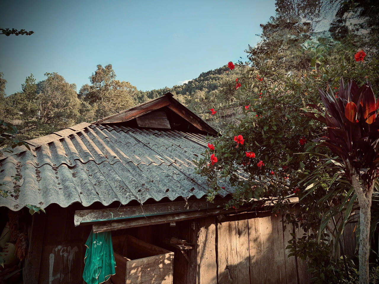 Lao Chải: Giữ bản sắc để làm du lịch