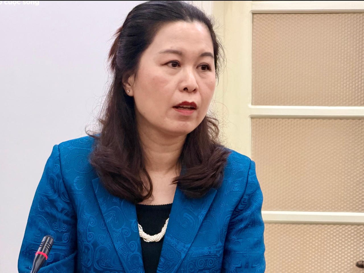 B&agrave; Vi Thanh Ho&agrave;i, Ph&oacute; Cục trưởng Cục Văn h&oacute;a - Th&ocirc;ng tin cơ sở v&agrave; Gia đ&igrave;nh ph&aacute;t biểu tại cuộc họp b&aacute;o (Ảnh: T. Huấn).