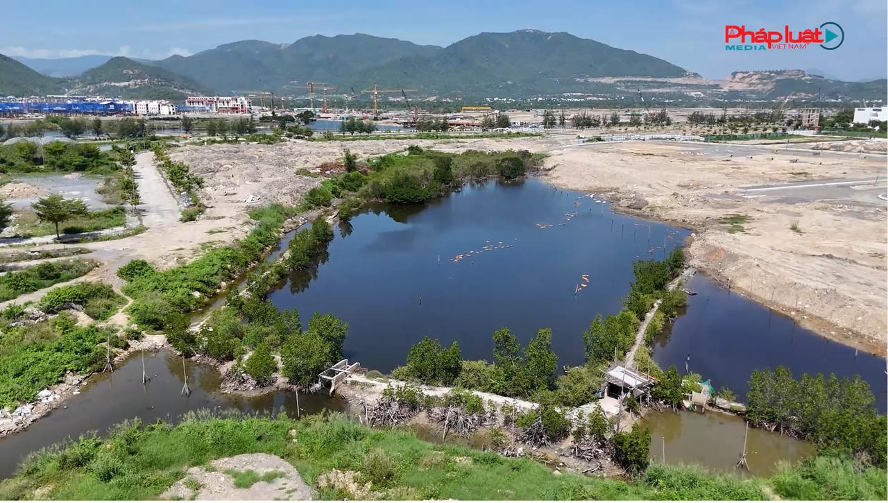 G&acirc;̀n 4,4 h&eacute;c-ta của bà Nguy&ecirc;̃n Thị Kim Anh bị thu h&ocirc;̀i đ&ecirc;̉ phục vụ dự án  Khu d&acirc;n cư ph&iacute;a T&acirc;y s&ocirc;ng Tắc 1 (sau đổi t&ecirc;n l&agrave; Khu đ&ocirc; thị An B&igrave;nh T&acirc;n)