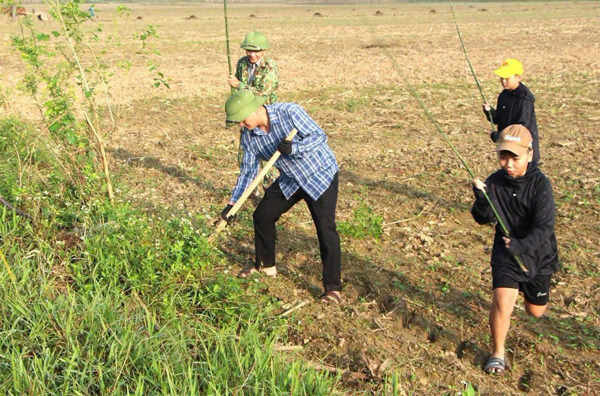 Nhờ sự v&agrave;o cuộc quyết liệt, đồng bộ của ch&iacute;nh quyền c&ugrave;ng sự hưởng ứng t&iacute;ch cực của người d&acirc;n, phong tr&agrave;o diệt chuột, bảo vệ m&ugrave;a m&agrave;ng tr&ecirc;n địa b&agrave;n đ&atilde; đạt được những kết quả đ&aacute;ng ghi nhận. (Ảnh: Dương To&agrave;n)