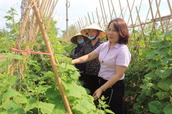 Hiệu quả chương trình tín dụng ưu đãi ở thị xã Phú Thọ