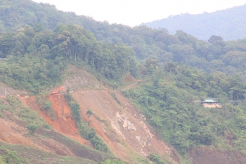 DỰ ĐỊNH CHUYỂN 26,5HA RỪNG ĐỂ MỞ ĐƯỜNG LÊN VÙNG TRỒNG SÂM: Lý do Bộ NN&PTNT từ chối đề xuất của Quảng Nam