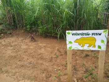 Du lịch bền vững gắn với bảo tồn động vật hoang dã