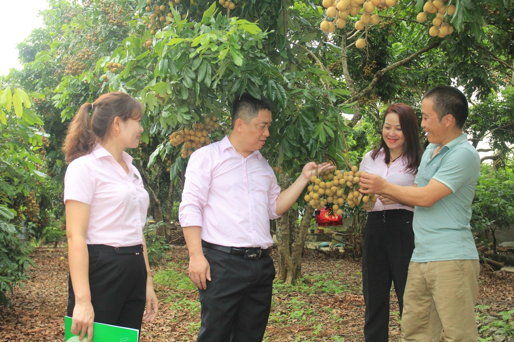 SƠN LA: Vốn chính sách tiếp sức công cuộc giảm nghèo bền vững