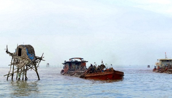 HẢI PHÒNG: Kiên quyết giải tỏa hoạt động nuôi ngao trái phép