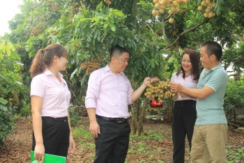 SƠN LA: Vốn chính sách tiếp sức công cuộc giảm nghèo bền vững