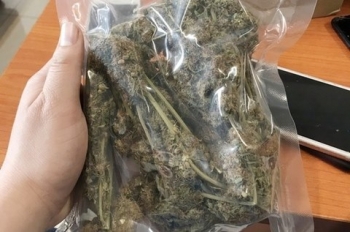 Nhận diện tội phạm ma túy trong thời 4.0