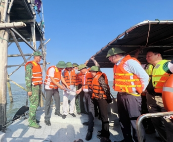 HẢI PHÒNG: Mạnh tay xử lý tình trạng nuôi trồng thủy sản trên biển không phép