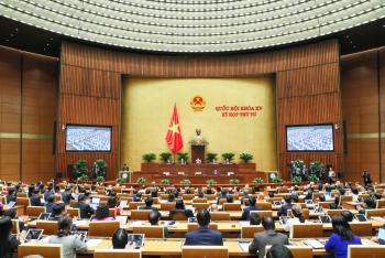 Sức nóng nghị trường