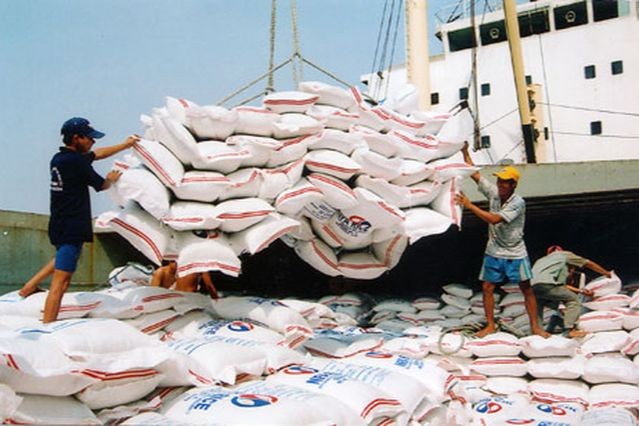 Thêm trường hợp bị thu hồi Giấy chứng nhận đủ điều kiện kinh doanh xuất khẩu gạo