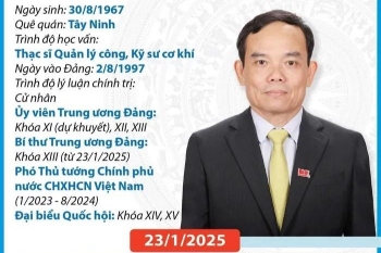 Quá trình công tác của Bí thư TW Đảng, Trưởng Ban Kinh tế TW Trần Lưu Quang