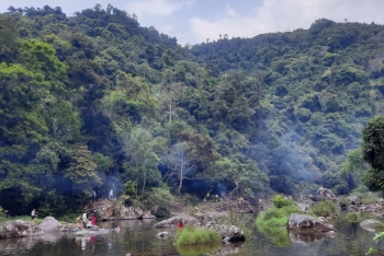 Phòng ngừa ẩn họa cháy rừng mùa lễ hội