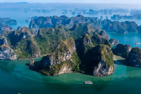 Khi nghệ thuật hành động để bảo vệ trái đất