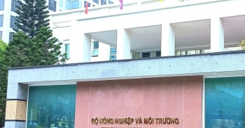 Bộ Nông nghiệp và Môi trường đi vào hoạt động: Cơ hội tái cơ cấu ngành và phát triển kinh tế xanh