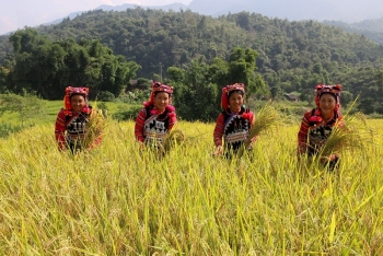 Sức sống nơi ngã ba biên giới A Pa Chải