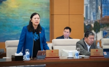 Có nên đánh thuế tiêu thụ đặc biệt với xăng và điều hòa?