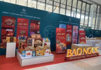 Tập đoàn Đầu tư Bảo Ngọc (BNA) lợi nhuận 2024 chưa đạt kỳ vọng do đầu tư mở rộng thị trường trong nước và xuất khẩu