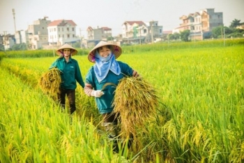 Để nền nông nghiệp phát triển bền vững