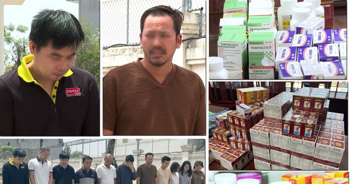 Thủ tướng yêu cầu đẩy nhanh tiến độ điều tra, xử lý nghiêm vụ thuốc, TPCN giả