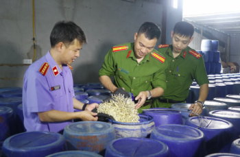 Hé lộ thị trường tiêu thụ 3.500 tấn giá đỗ ngâm "nước kẹo" vừa bị Công an triệt phá