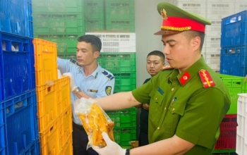 Phát hiện 20 tấn gà ủ muối, nội tạng không rõ nguồn gốc chuẩn bị tiêu thụ tại Hà Nội