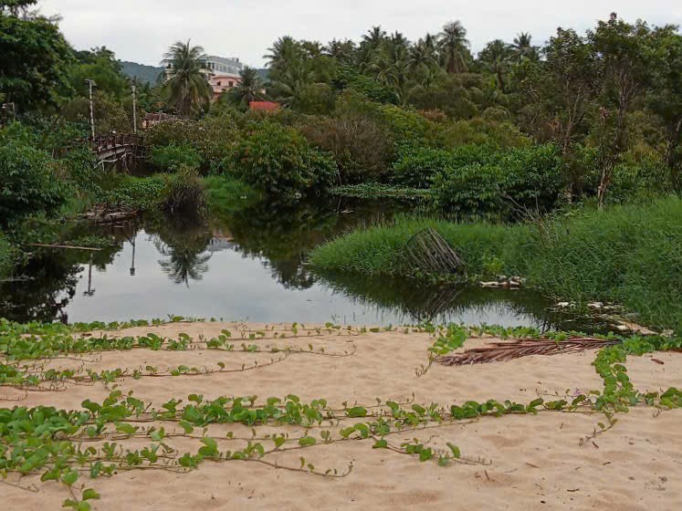 Kỳ án tranh chấp đất tại Kiên Giang: Toà dân sự phúc thẩm không chấp nhận quan điểm của toà hành chính