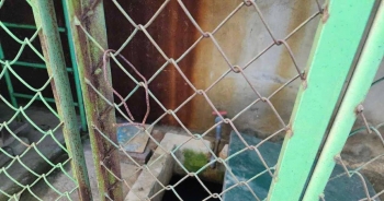 Phát hiện bé trai 5 tuổi tử vong tại bể chứa nước ở trường mầm non