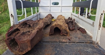 Phát hiện gỗ sưa quý hiếm dưới suối thuộc vùng đệm Di sản Phong Nha-Kẻ Bàng