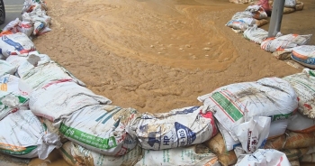 Cát Linh: Bùn nhão bất ngờ trào ngược trên phố