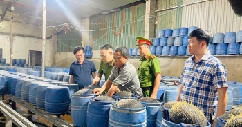 Phát hiện cơ sở sản xuất gần 350 tấn giá đỗ sử dụng chất độc hại ở Lào Cai
