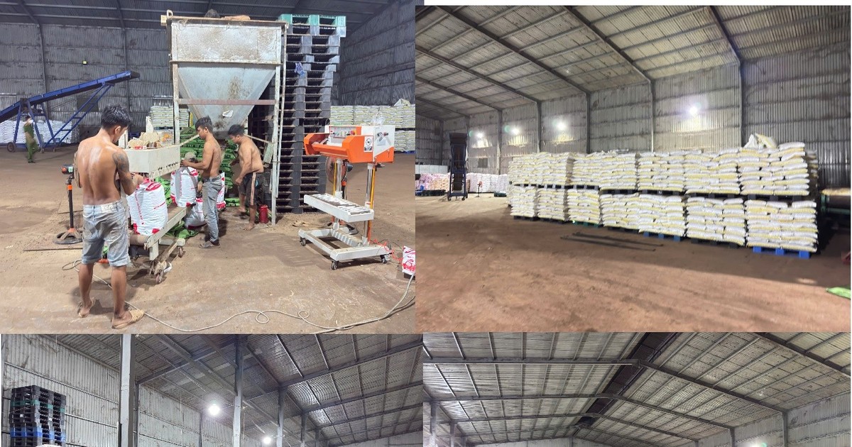 Sự thật sau những bao phân nhập khẩu từ Bỉ